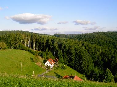 Holiday Apartment in St. Mrgen (Black Forest) or holiday homes and vacation rentals
