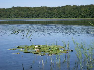 Holiday House in Alth�ttendorf (Barnim) or holiday homes and vacation rentals