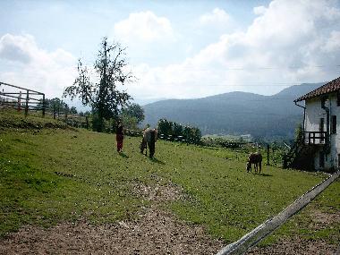 Holiday Apartment in Arrach (Upper Palatinate) or holiday homes and vacation rentals