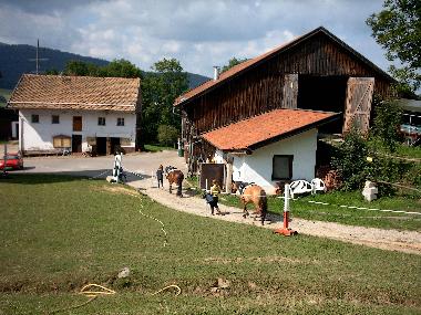 Holiday Apartment in Arrach (Upper Palatinate) or holiday homes and vacation rentals
