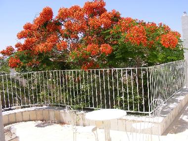 Holiday House in Kfar Adumim (Yerushalayim (Jerusalem)) or holiday homes and vacation rentals