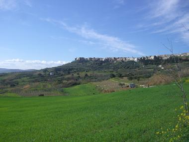 Irsina overlooking the rolling Basilicata countryside.