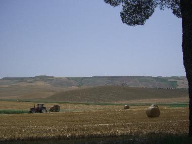 Harvest time.