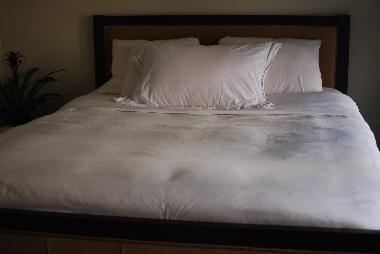 Relax, in the Master Bedroom, on 1,000 thread count sheets!