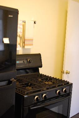 Professional style grill top stove provides many cooking options