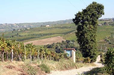 Holiday Apartment in Montecalvo Versiggia (Pavia) or holiday homes and vacation rentals