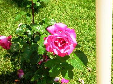 Holiday House in Pisano (Catania) or holiday homes and vacation rentals