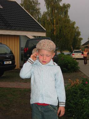 Holiday House in Kleinzerlang (Mecklenburgische Seenplatte) or holiday homes and vacation rentals