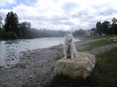 Holiday House in Lechbruck am See (Bavarian Swabia) or holiday homes and vacation rentals