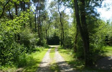 Holiday House in Ruinen (Drenthe) or holiday homes and vacation rentals