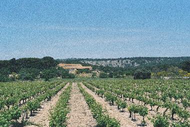 Holiday House in Narbonne-Plage (Aude) or holiday homes and vacation rentals