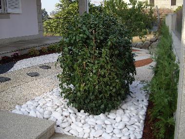 Holiday House in Galegos-Penafiel (Norte) or holiday homes and vacation rentals