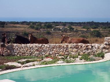 Holiday Apartment in Modica (Ragusa) or holiday homes and vacation rentals
