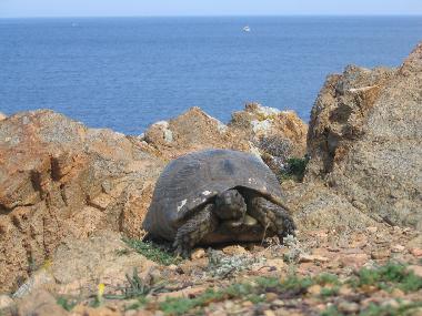 Holiday House in Trinit� d