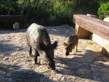 Holiday House in Trinit� d