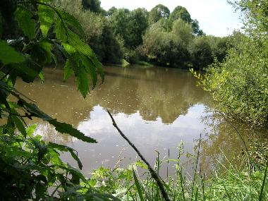 Holiday House in SAIN BONNET DE SALERS (Cantal) or holiday homes and vacation rentals