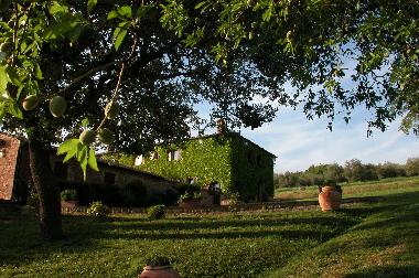 Holiday Apartment in Monticchiello (Siena) or holiday homes and vacation rentals