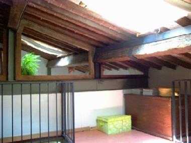 Holiday Apartment in Pisa (Pisa) or holiday homes and vacation rentals