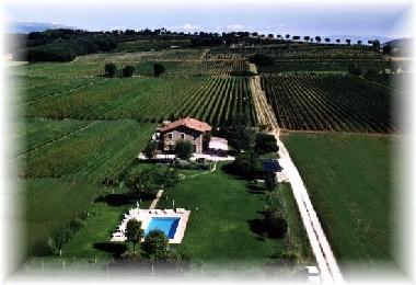 Holiday House in Torgiano (Perugia) or holiday homes and vacation rentals