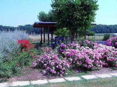 Holiday House in Torgiano (Perugia) or holiday homes and vacation rentals