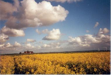 Holiday Apartment in Efkebll K 73 3  (Nordsee-Festland) or holiday homes and vacation rentals