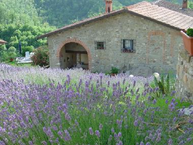 Holiday Apartment in Barberino del Mugello (Florence) (Firenze) or holiday homes and vacation rentals