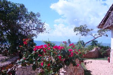 Holiday House in Msambweni (Coast) or holiday homes and vacation rentals