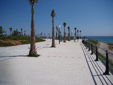 Chalet in Torrevieja (Alicante / Alacant) or holiday homes and vacation rentals