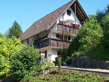Holiday Apartment in 79418 (Black Forest) or holiday homes and vacation rentals