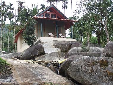 Bed and Breakfast in Muttil peak (Kerala) or holiday homes and vacation rentals