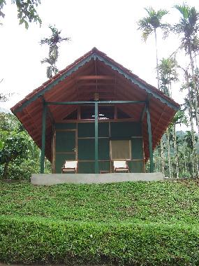 Bed and Breakfast in Muttil peak (Kerala) or holiday homes and vacation rentals
