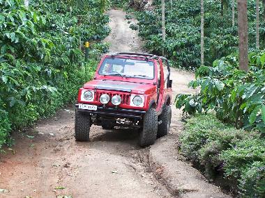 Bed and Breakfast in Muttil peak (Kerala) or holiday homes and vacation rentals