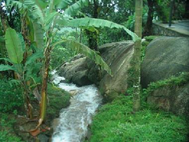 Bed and Breakfast in Muttil peak (Kerala) or holiday homes and vacation rentals