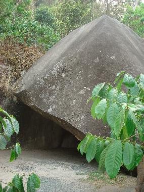 Bed and Breakfast in Muttil peak (Kerala) or holiday homes and vacation rentals