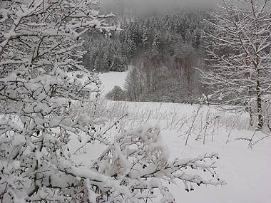 Holiday House in Bernartice u Trutnova (Kralovehradecky Kraj) or holiday homes and vacation rentals