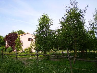 Bed and Breakfast in Perugia (Perugia) or holiday homes and vacation rentals