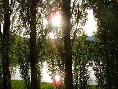 Bed and Breakfast in Perugia (Perugia) or holiday homes and vacation rentals