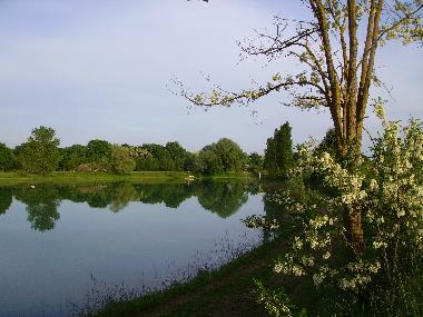 Bed and Breakfast in Perugia (Perugia) or holiday homes and vacation rentals