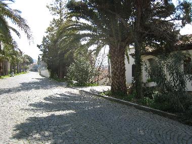 Holiday House in Selcuk (Izmir) or holiday homes and vacation rentals