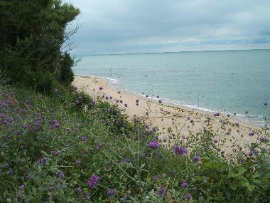 Byala Beach