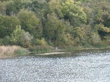 Mandra Dam 3 Km