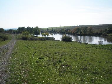 Carp Dam