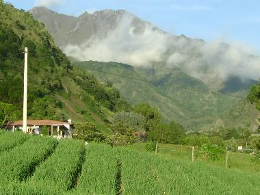 view from miridor at back