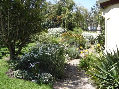 Holiday Apartment in Somerset West (Western Cape) or holiday homes and vacation rentals