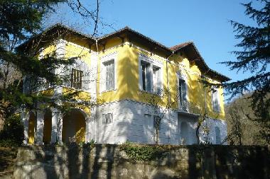 View from garden toward house