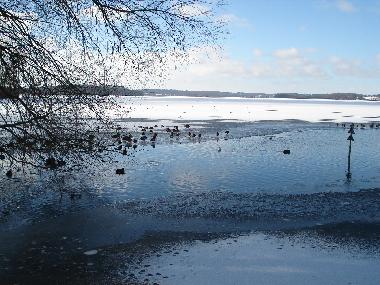 Holiday House in Krummsee (Holsteinische Schweiz) or holiday homes and vacation rentals