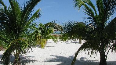 Hotel in Celestun (Yucatan) or holiday homes and vacation rentals