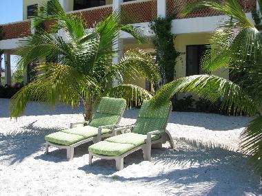 Hotel in Celestun (Yucatan) or holiday homes and vacation rentals