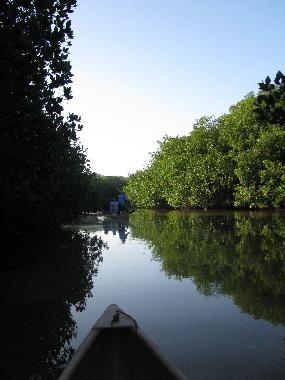 Hotel in Celestun (Yucatan) or holiday homes and vacation rentals