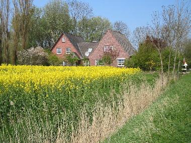 Holiday House in Nordstrand (Nordfriesische Inseln) or holiday homes and vacation rentals